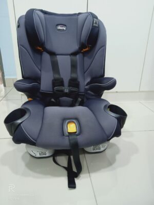 Chicco Seat